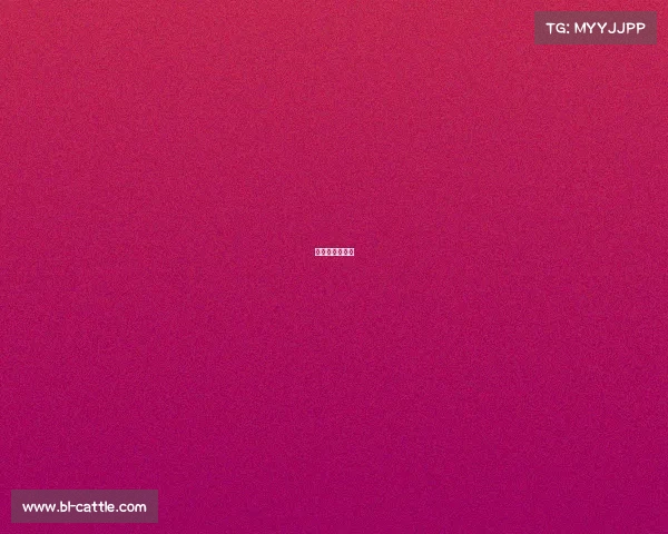 斯伯丁金色赛事