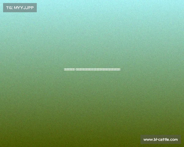 赛事监督的职责-赛事监督职责核心解析涵盖赛事公平秩序维护及应急处置关键要点