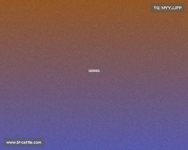 帕尔马比赛回放