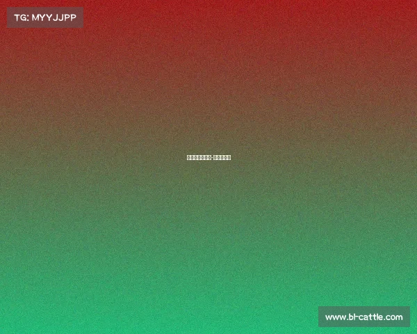 有大满贯的赛事-大满贯比赛