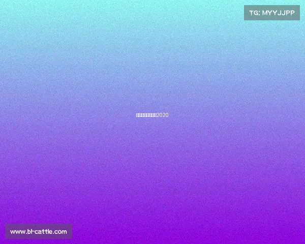 短道速滑视频比赛2020