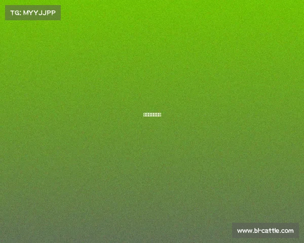 赛事的盈利模式